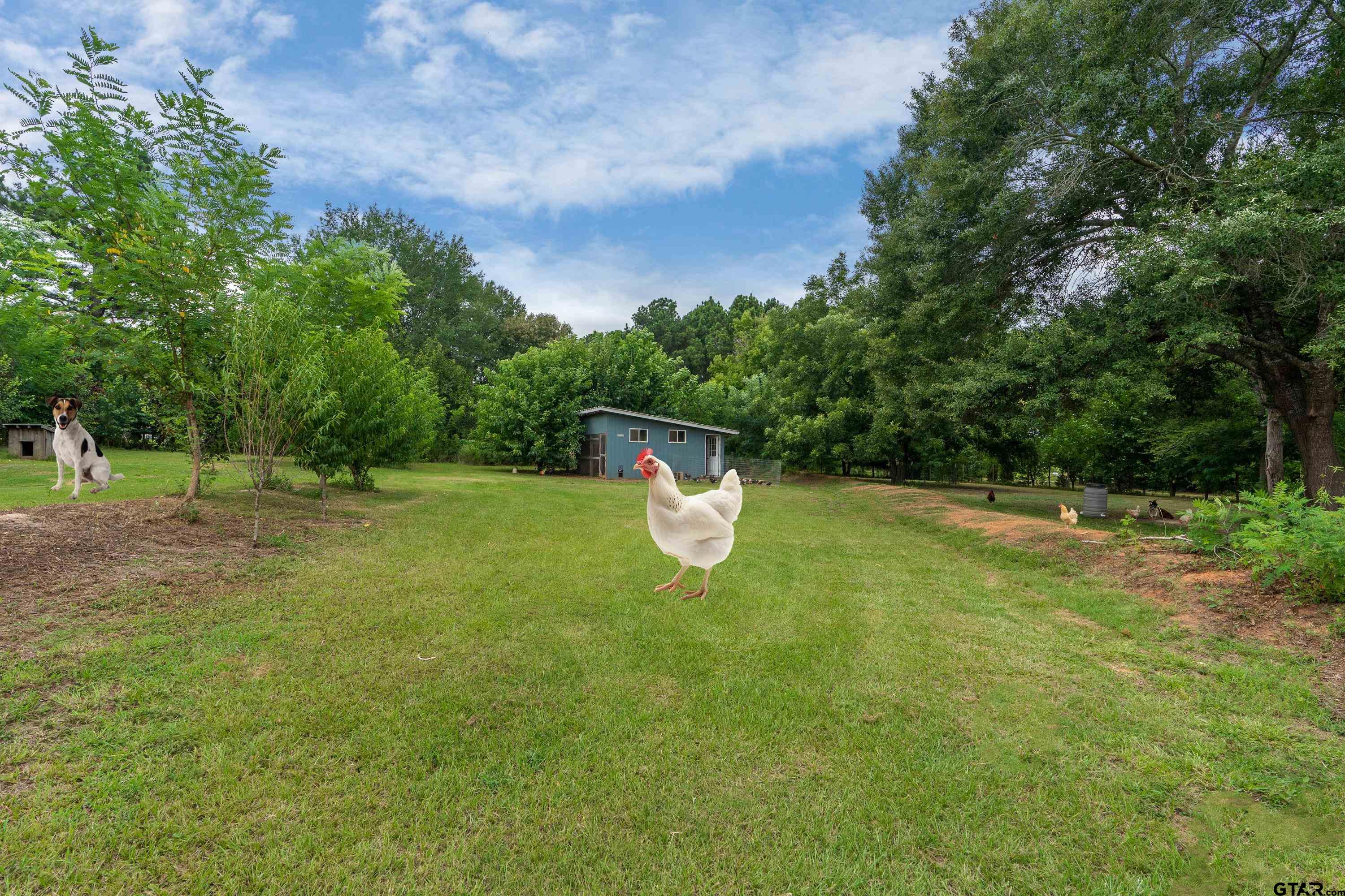580 Jones Road Longview, TX 75603 - Photo 44 of 48