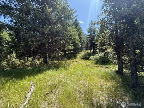 $69,900 | 135 Slippery Hill Lane, Republic, WA 99166