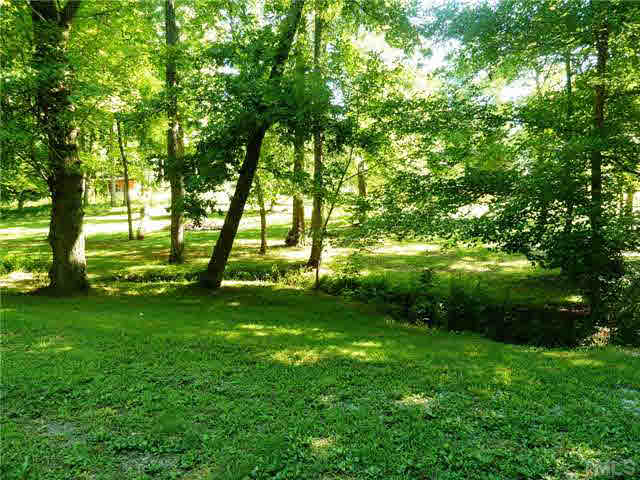 212 Mace Road Mebane, NC 27302 - Photo 19 of 23 View of the creek in the back yard. This is like owning your own private nature reserve.