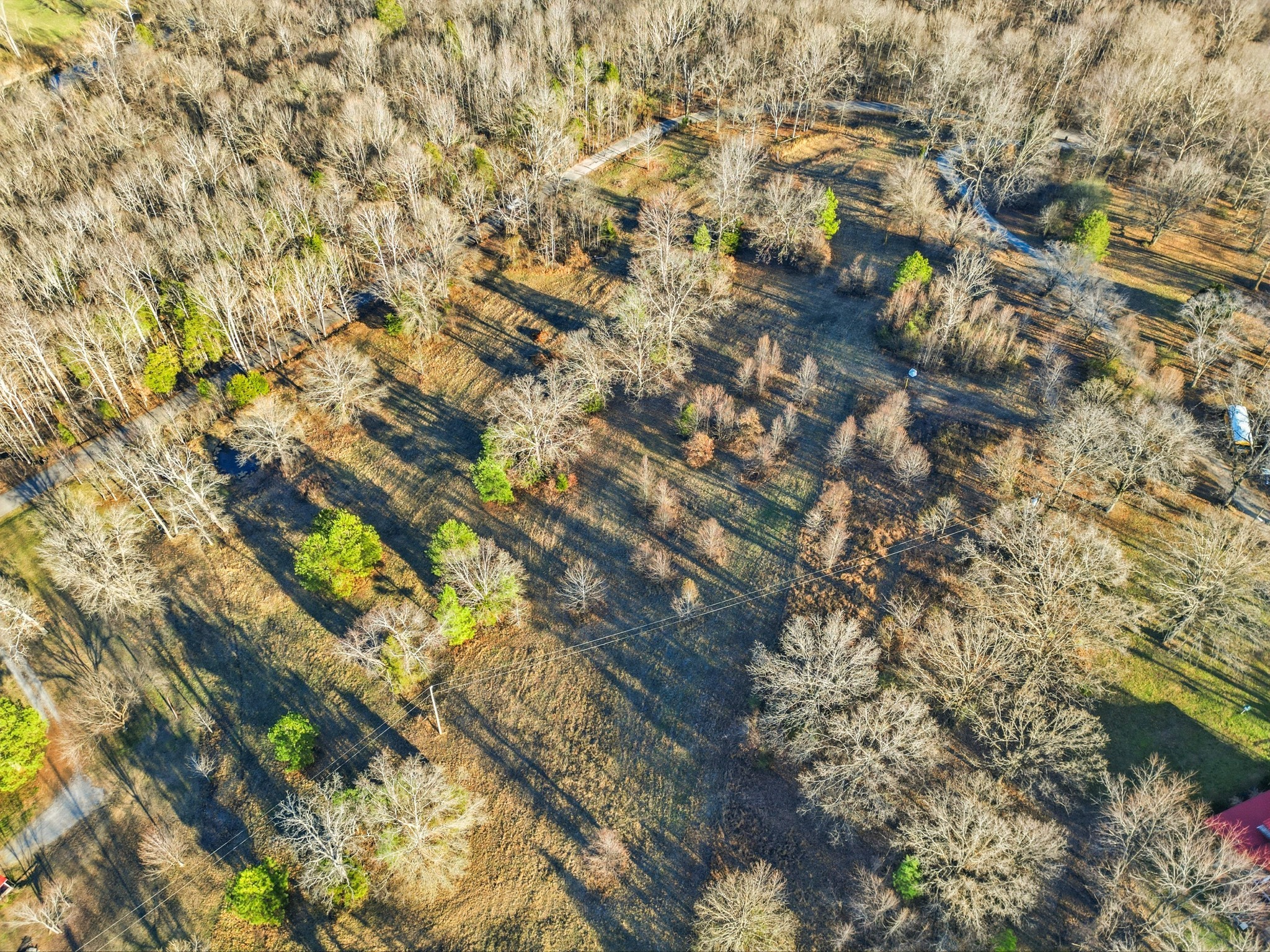 8451 Sycamore Creek Road Joelton, TN 37080 - Photo 11 of 12
