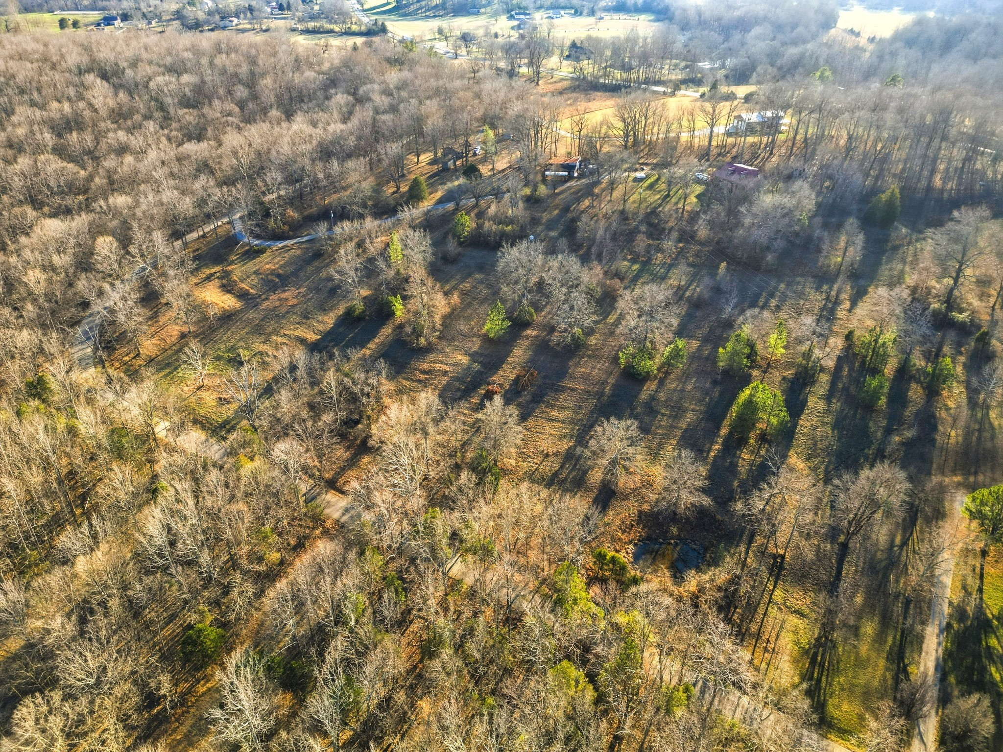 8451 Sycamore Creek Road Joelton, TN 37080 - Photo 3 of 12