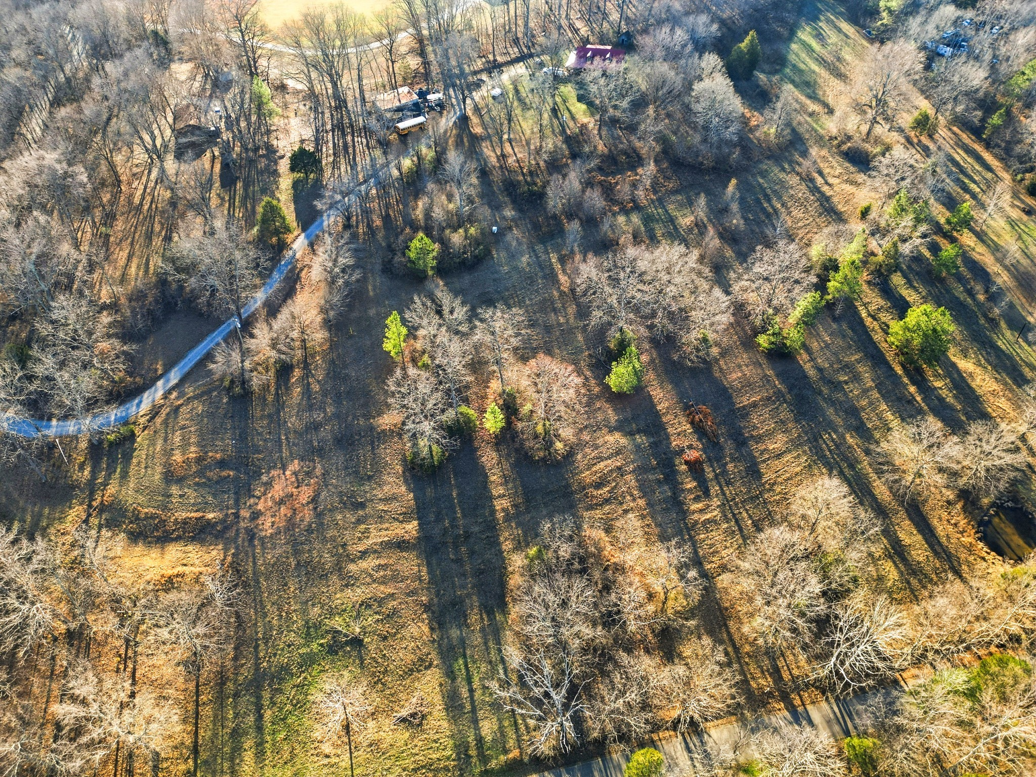 8451 Sycamore Creek Road Joelton, TN 37080 - Photo 4 of 12
