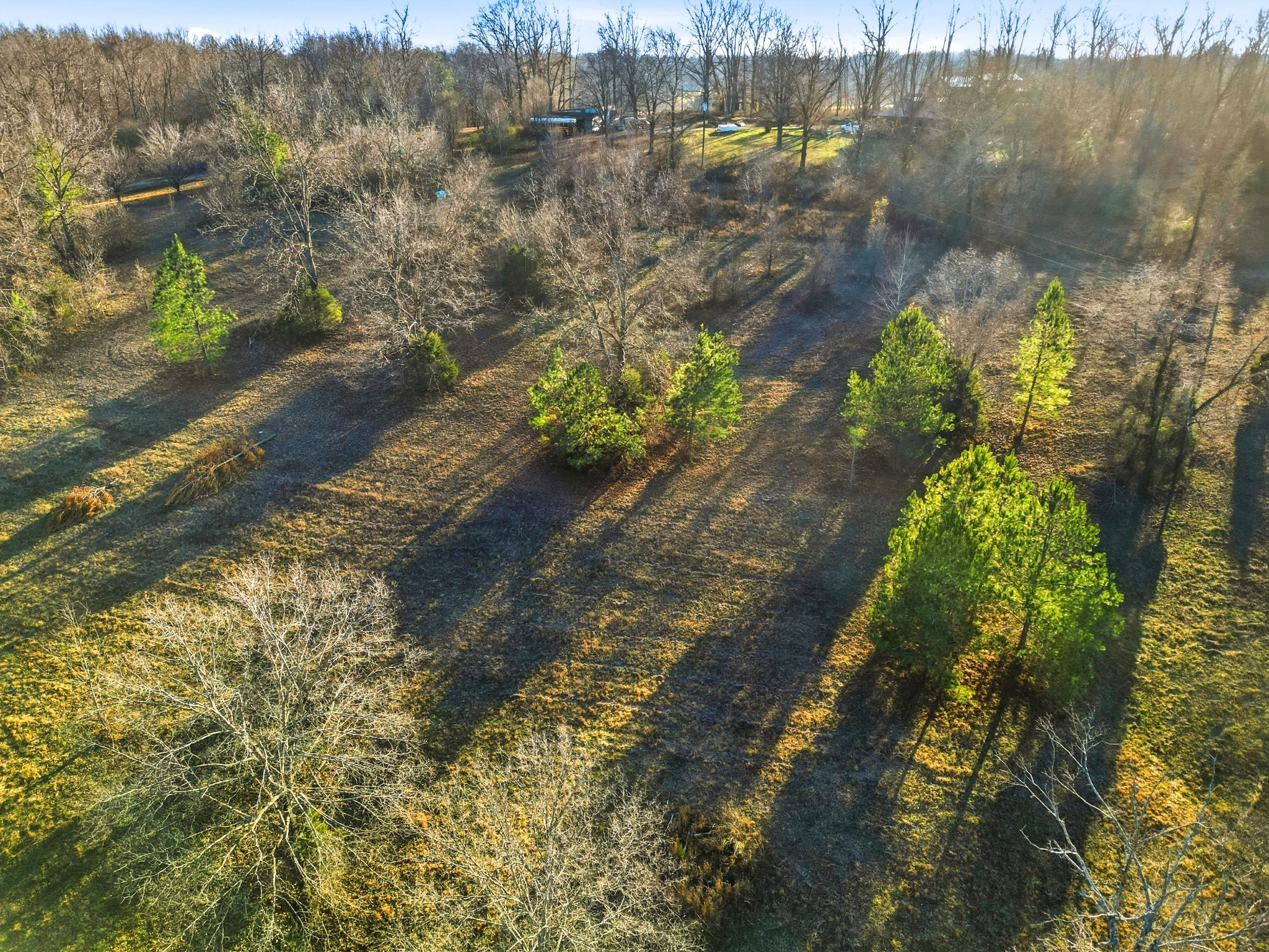8451 Sycamore Creek Road Joelton, TN 37080 - Photo 9 of 12