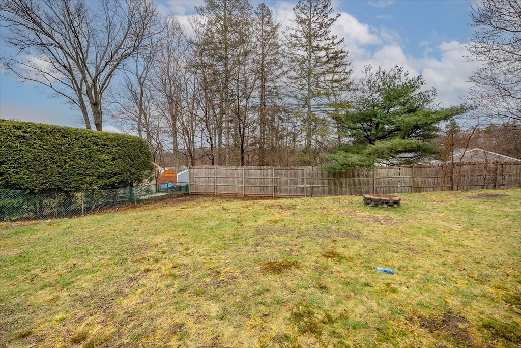 384 Forest Hills Road Springfield, MA 01128 - Photo 30 of 36 a view of yard with large trees
