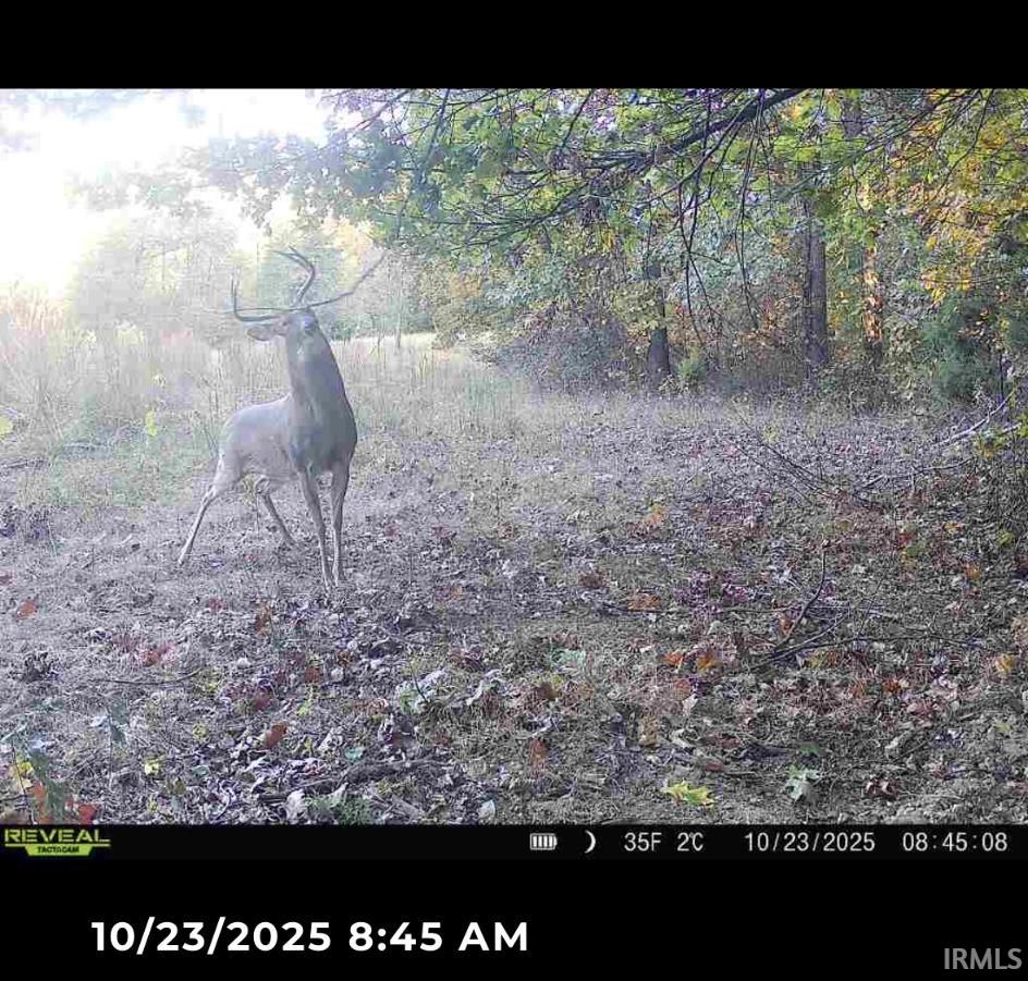 1 Beech Tree Road Nineveh, IN 46164 - Photo 9 of 15