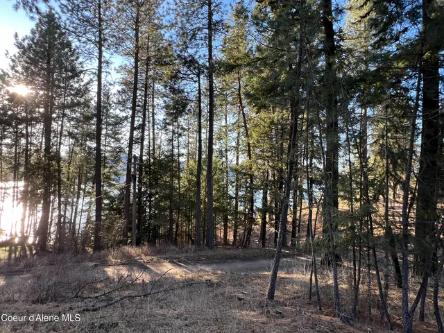 $200,000 | Nna South Benewah Road, Harrison, ID 83833