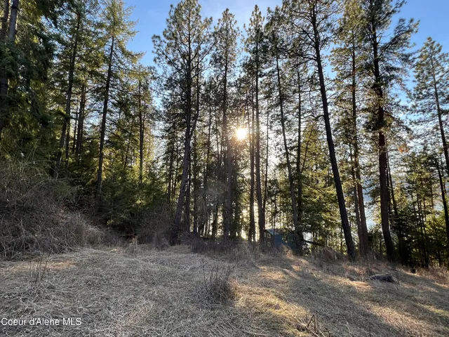 $200,000 | Nna South Benewah Road, Harrison, ID 83833