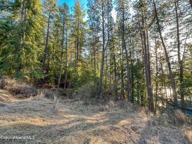 $200,000 | Nna South Benewah Road, Harrison, ID 83833
