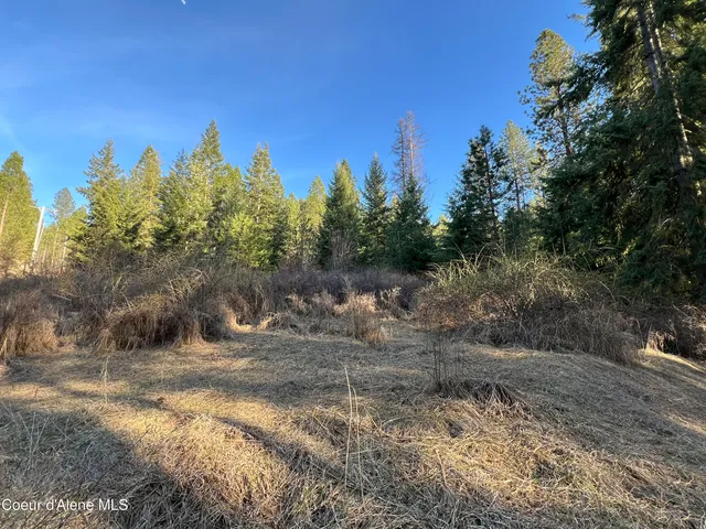 $200,000 | Nna South Benewah Road, Harrison, ID 83833