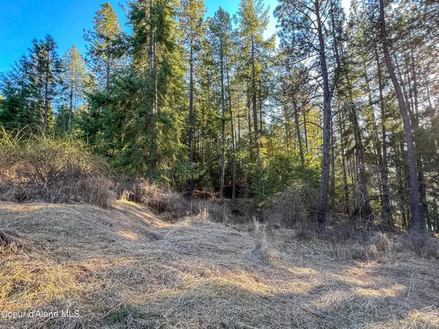 $200,000 | Nna South Benewah Road, Harrison, ID 83833