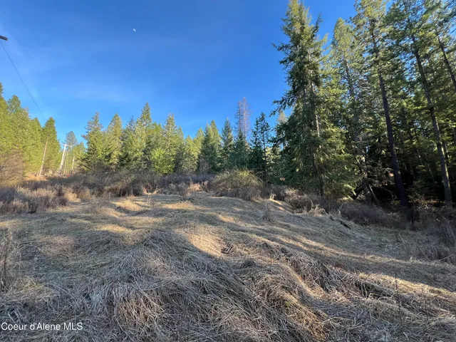 $200,000 | Nna South Benewah Road, Harrison, ID 83833