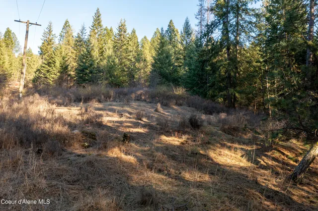 $200,000 | Nna South Benewah Road, Harrison, ID 83833