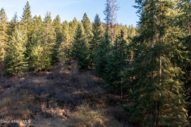 $200,000 | Nna South Benewah Road, Harrison, ID 83833