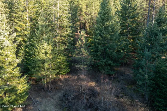 $200,000 | Nna South Benewah Road, Harrison, ID 83833