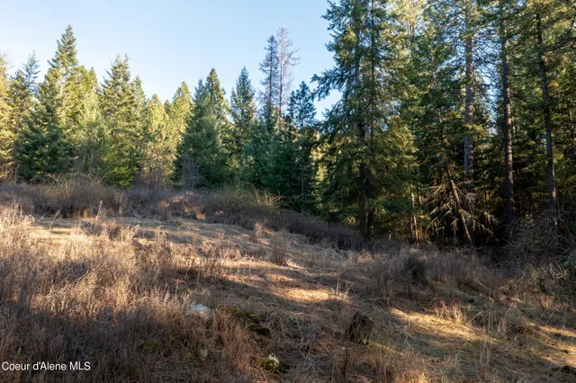 $200,000 | Nna South Benewah Road, Harrison, ID 83833