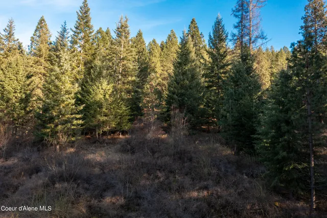 $200,000 | Nna South Benewah Road, Harrison, ID 83833