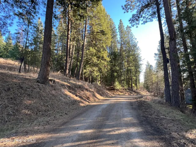 $200,000 | Nna South Benewah Road, Harrison, ID 83833
