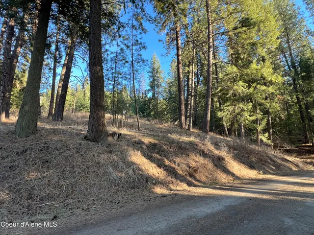 $200,000 | Nna South Benewah Road, Harrison, ID 83833