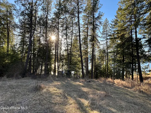 $200,000 | Nna South Benewah Road, Harrison, ID 83833