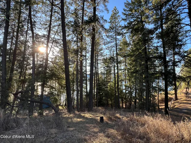 $200,000 | Nna South Benewah Road, Harrison, ID 83833