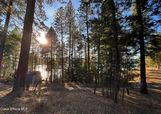 $200,000 | Nna South Benewah Road, Harrison, ID 83833