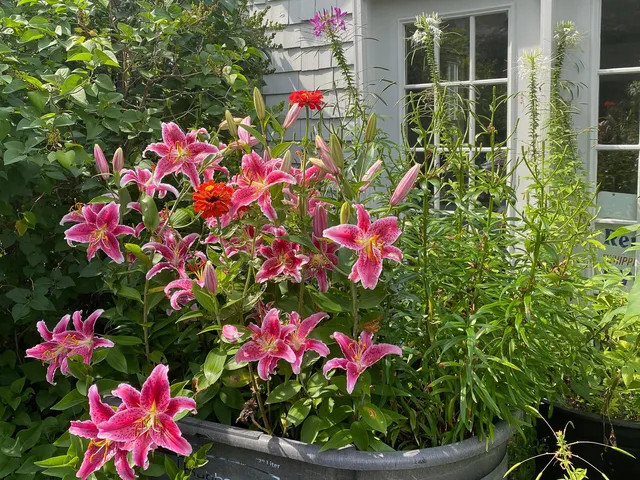 $490,000 | 292 Main Street, Southwest Harbor, ME 04679