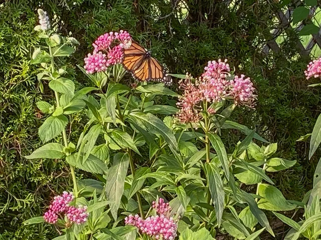 $490,000 | 292 Main Street, Southwest Harbor, ME 04679