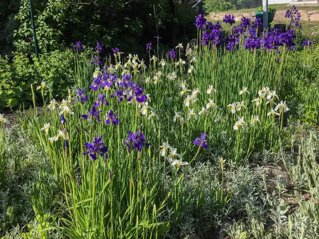 $490,000 | 292 Main Street, Southwest Harbor, ME 04679