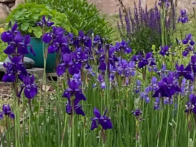 $490,000 | 292 Main Street, Southwest Harbor, ME 04679