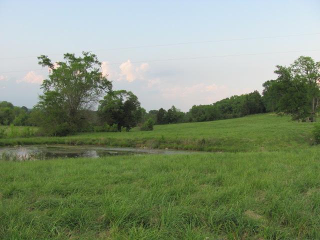 4 Puckett Road Lebanon, TN 37090 - Photo 1 of 11 a view of outdoor space and yard