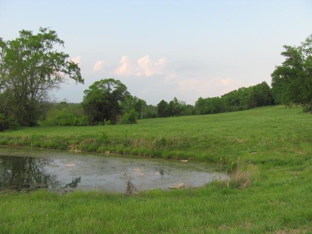 4 Puckett Road Lebanon, TN 37090 - Photo 2 of 11 a view of a grassy field with trees