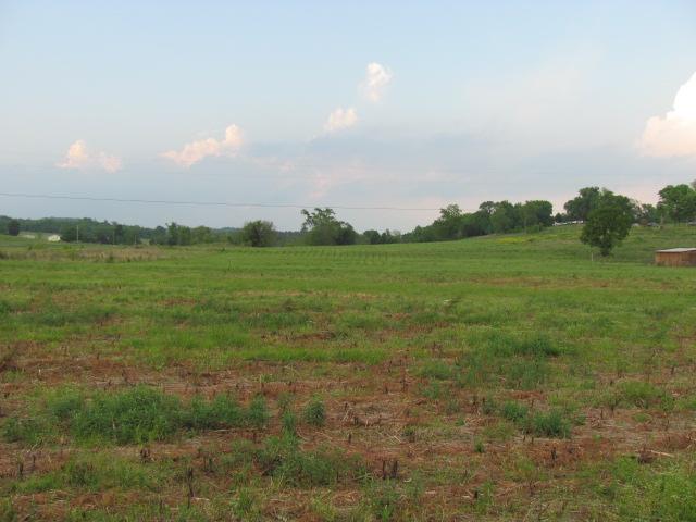 4 Puckett Road Lebanon, TN 37090 - Photo 3 of 11 a view of a field with an trees in the background