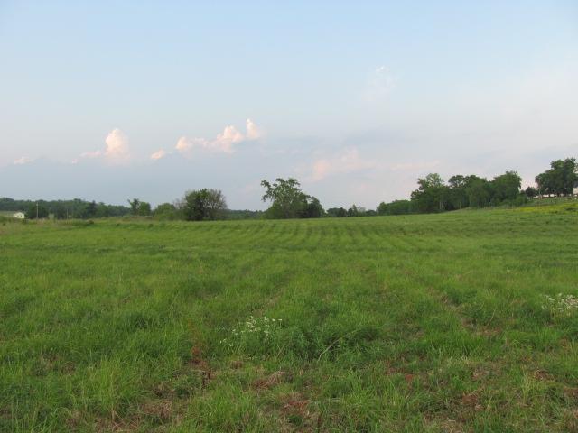 4 Puckett Road Lebanon, TN 37090 - Photo 4 of 11 a view of a big yard with plants and large trees