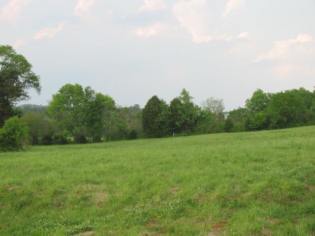 4 Puckett Road Lebanon, TN 37090 - Photo 7 of 11 a view of field with trees in the background