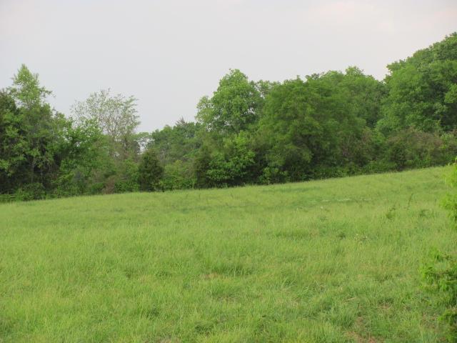 4 Puckett Road Lebanon, TN 37090 - Photo 8 of 11 a view of field with trees in the background