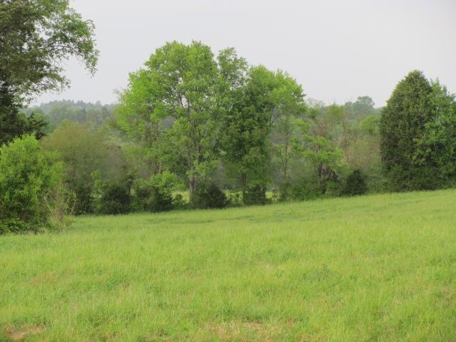 4 Puckett Road Lebanon, TN 37090 - Photo 9 of 11 a view of a field with a trees in the background