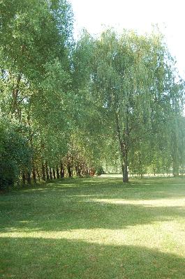 13157 West Haley Road Manhattan, IL 60442 - Photo 14 of 16 a view of a park with large trees
