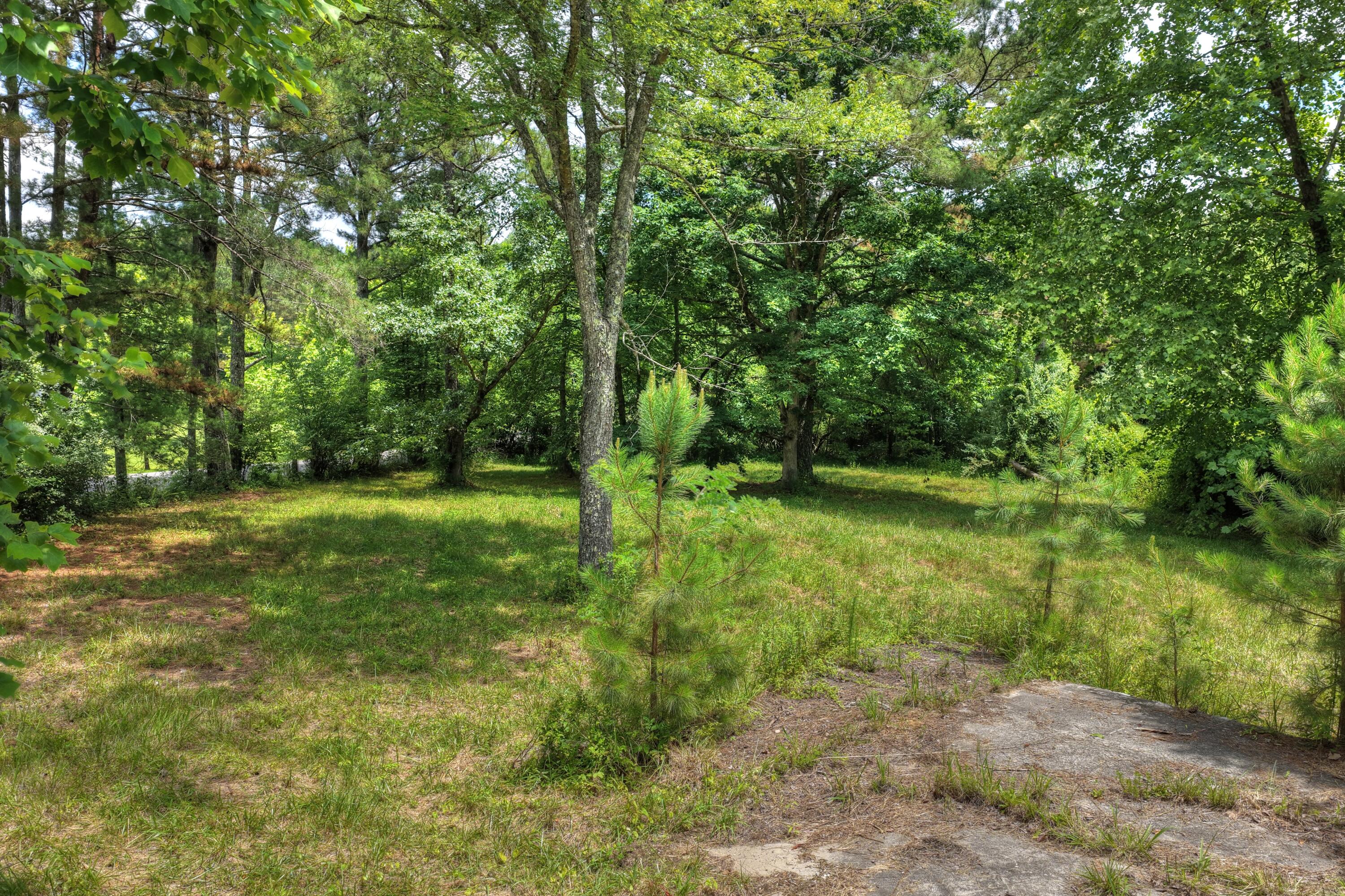 526 Airport Road Copperhill, TN 37317 - Photo 4 of 28 Airport Rd Byrd Property (3)