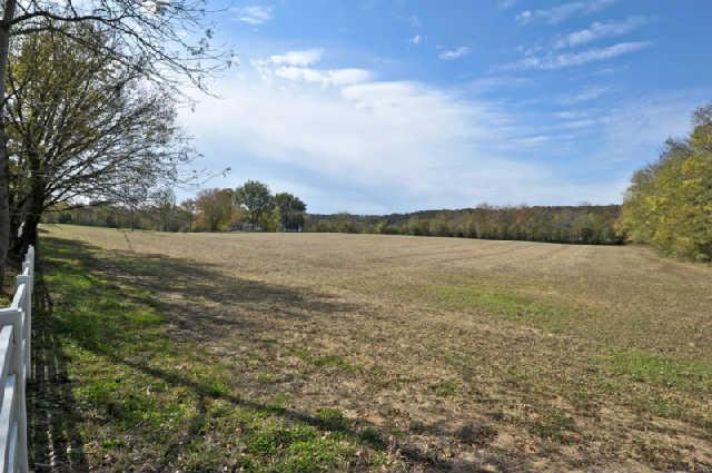 0 Rushton Road Only, TN 37140 - Photo 2 of 18 Gallery Image 2