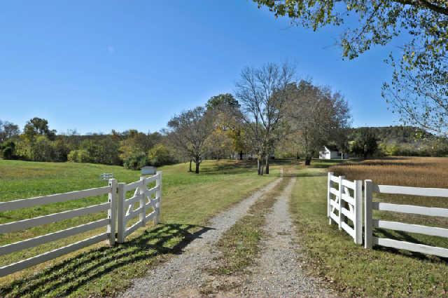 0 Rushton Road Only, TN 37140 - Photo 5 of 18 Gallery Image 5