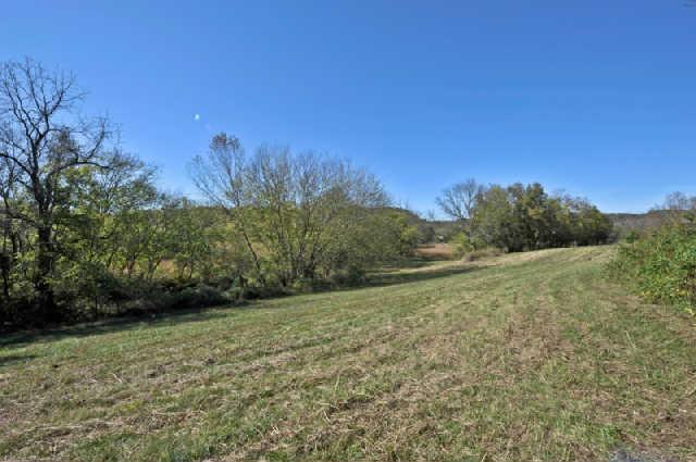 0 Rushton Road Only, TN 37140 - Photo 6 of 18 Gallery Image 6