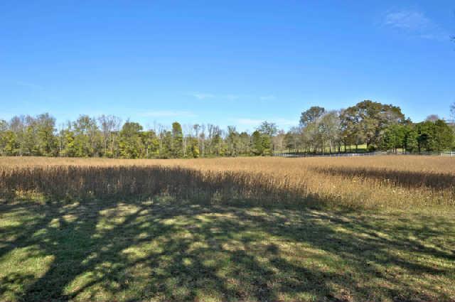 0 Rushton Road Only, TN 37140 - Photo 9 of 18 Gallery Image 9