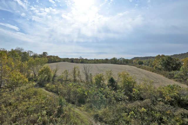 0 Rushton Road Only, TN 37140 - Photo 10 of 18 Gallery Image 10