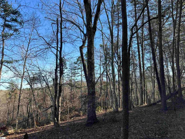 $28,000 | 0 Hawkins Lane, Mill Spring, NC 28756