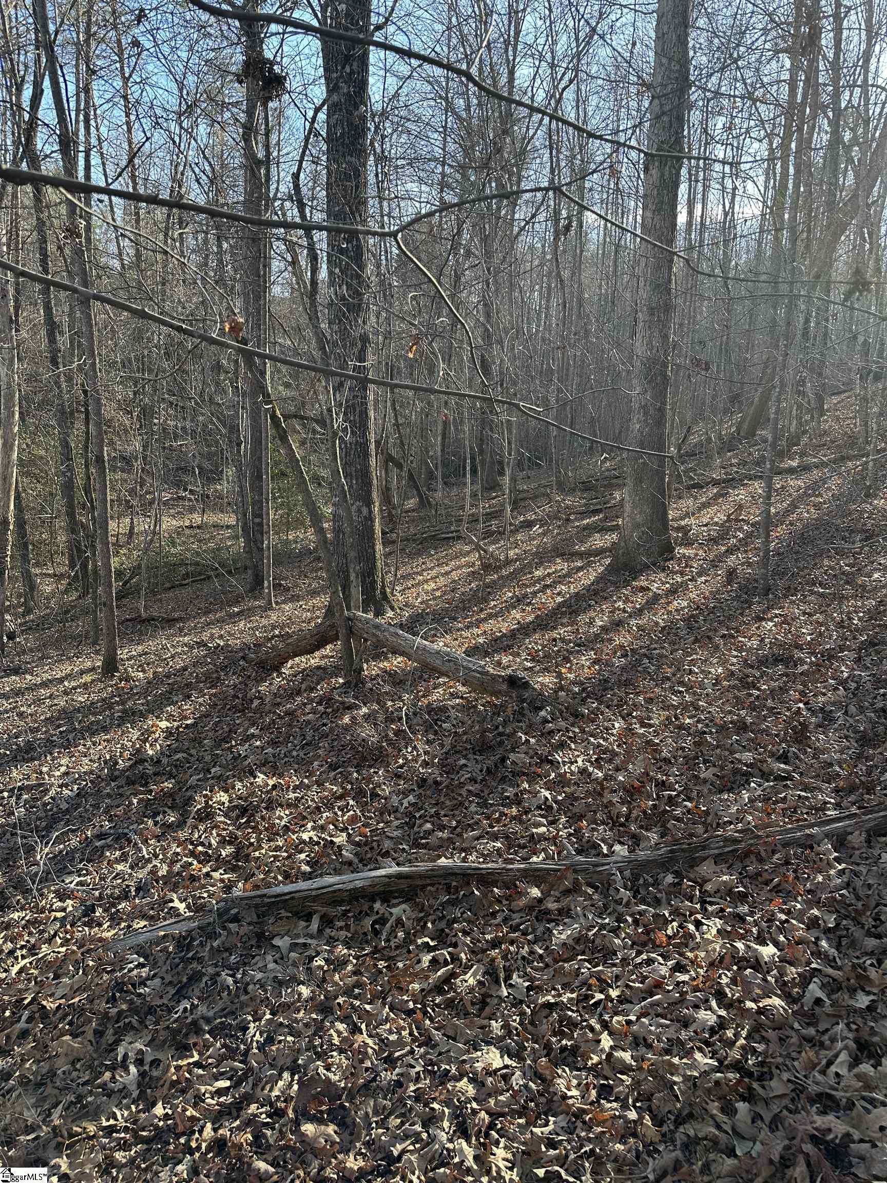 0 Hawkins Lane Mill Spring, NC 28756 - Photo 11 of 14