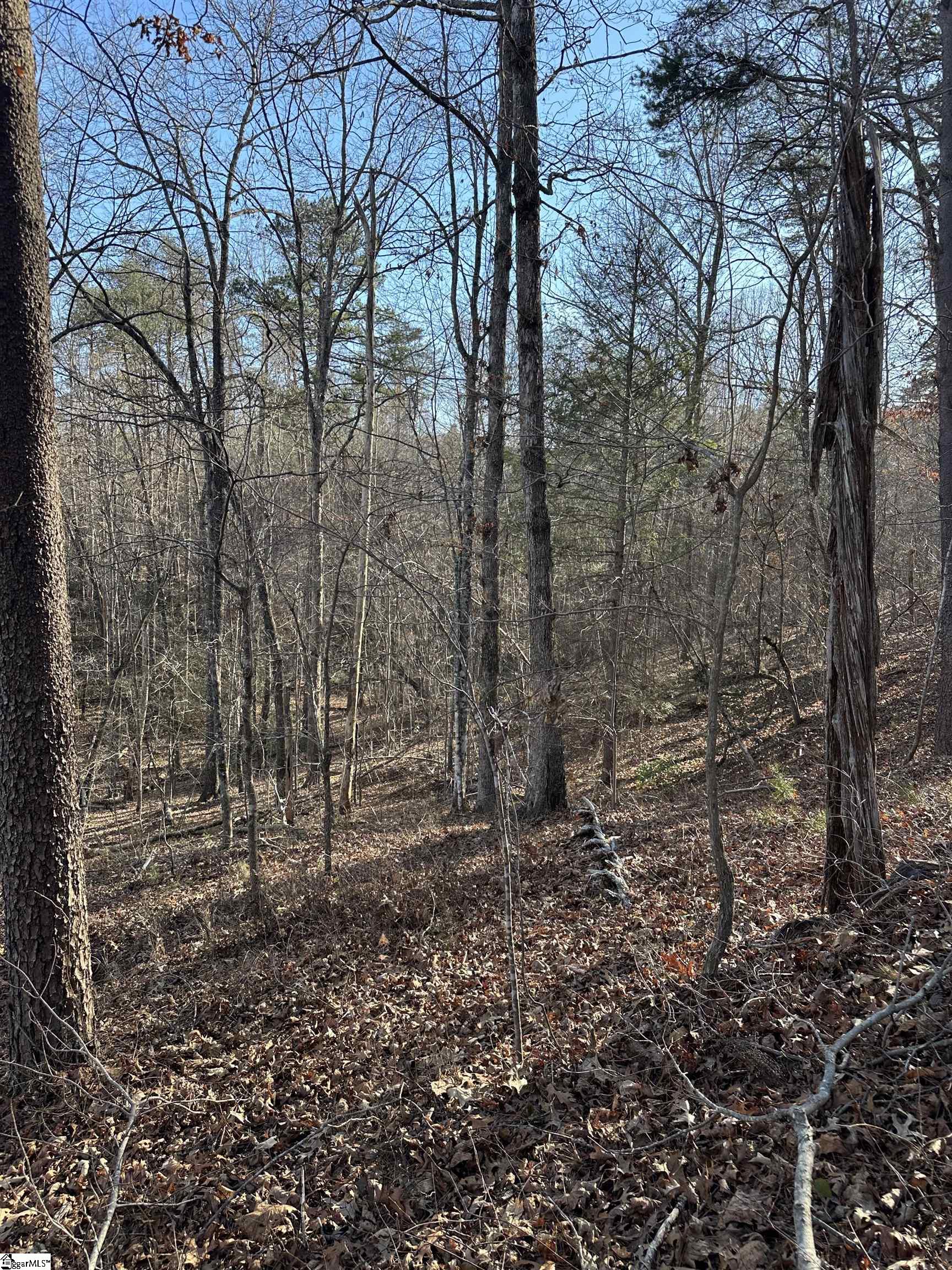 0 Hawkins Lane Mill Spring, NC 28756 - Photo 12 of 14