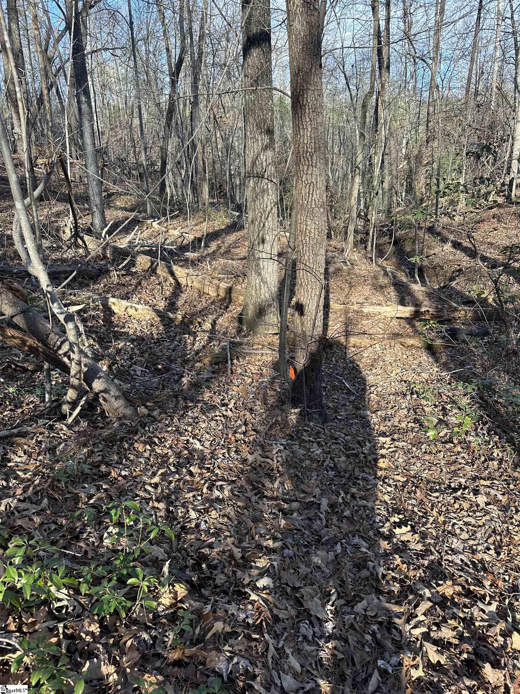 0 Hawkins Lane Mill Spring, NC 28756 - Photo 14 of 14