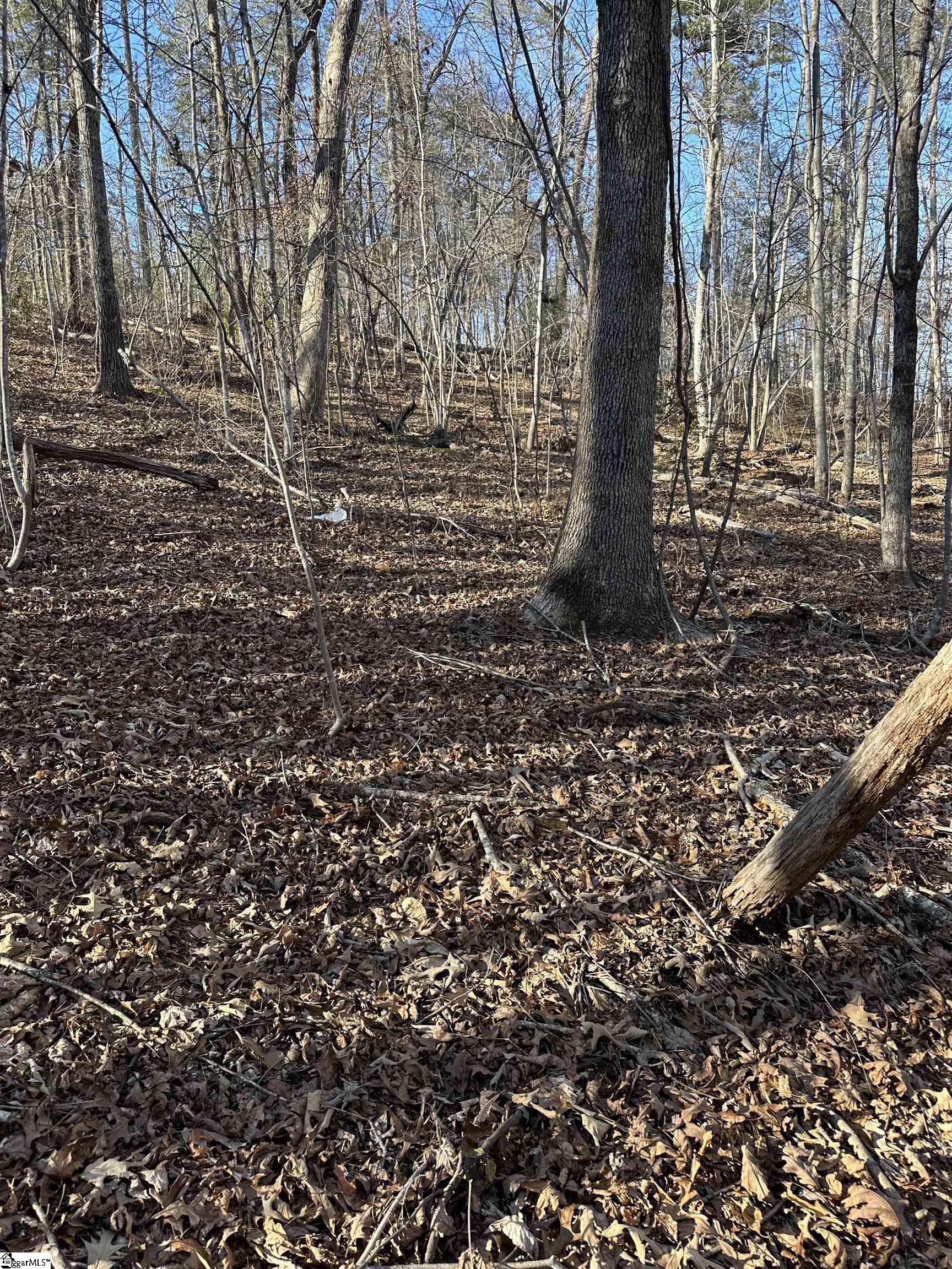 0 Hawkins Lane Mill Spring, NC 28756 - Photo 2 of 14