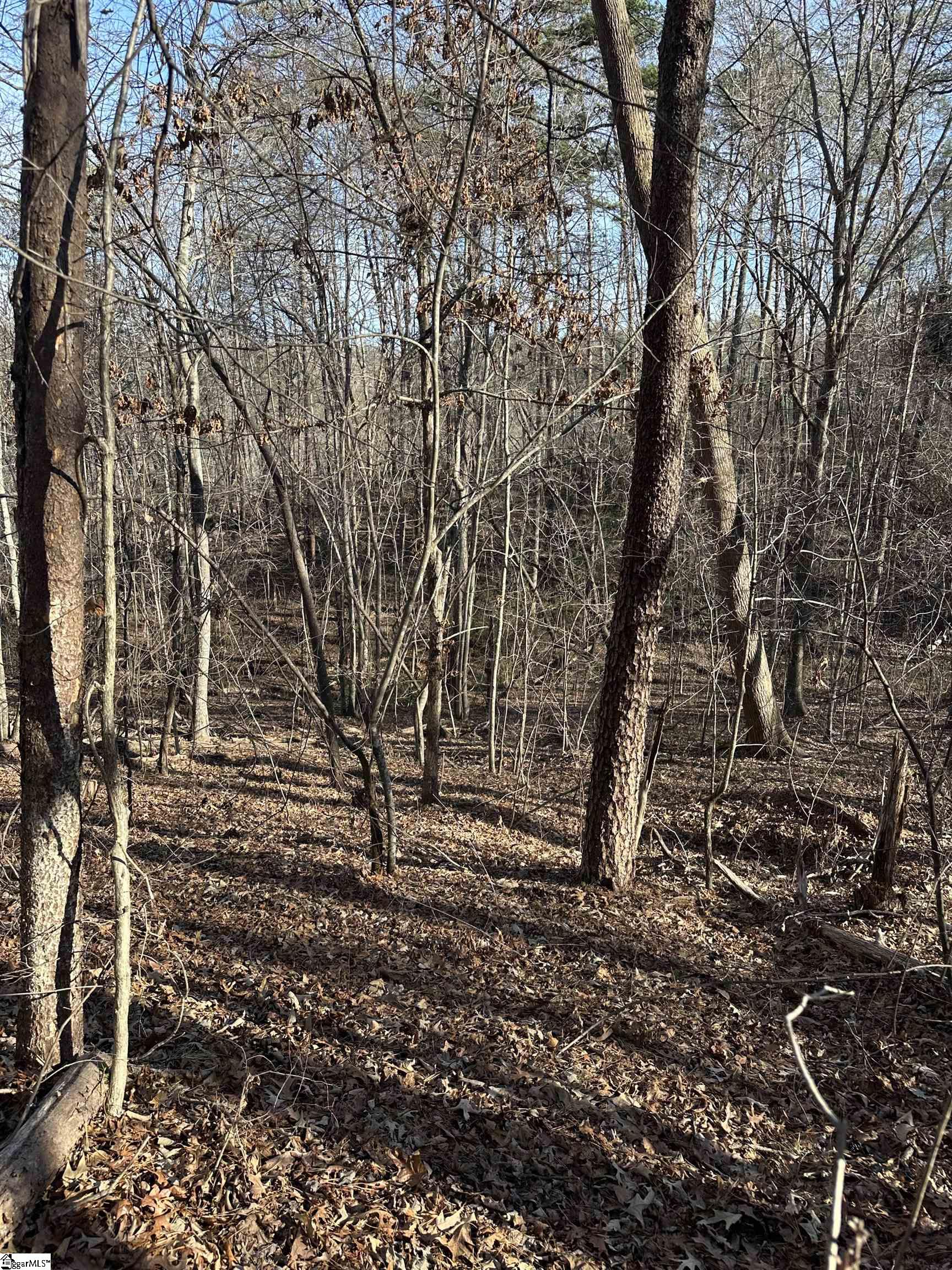 0 Hawkins Lane Mill Spring, NC 28756 - Photo 3 of 14