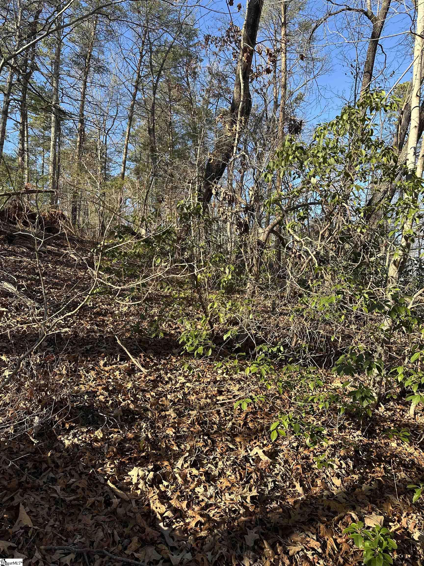0 Hawkins Lane Mill Spring, NC 28756 - Photo 4 of 14